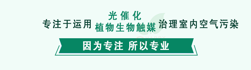 專注于，運用光催化植物生物觸媒，治理室內(nèi)空氣污染，因為專注，所以專業(yè)