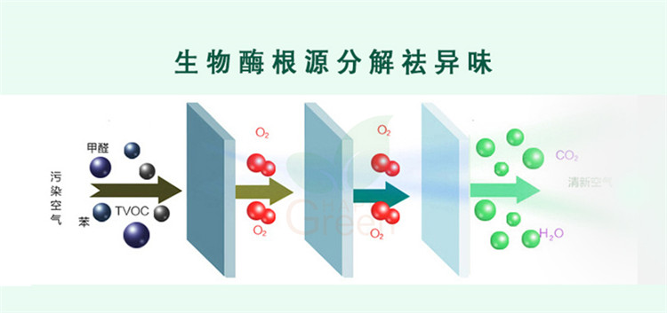 自由呼吸 是美好生活的開始 第三代格瑞樂綠快光催化植物生物觸媒 母嬰安全級，專注于室內(nèi)空氣污染治理 除醛除味 綜合治理倡導(dǎo)者 踐行者 一站式服務(wù)除甲醛 嚴(yán)謹(jǐn)?shù)膽B(tài)度 可靠的技術(shù) 自然的理念 貼心的服務(wù) 安全品質(zhì) 值得信賴 甲醛的三大危害 危害一：長痘、失眠多夢、頭暈、精神不振 危害二：咳嗽/呼吸道難受/哮喘/致癌 危害三：老人小孩抵抗力變差 健康才是真正的快樂